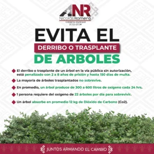 355266869_570944428557386_579339