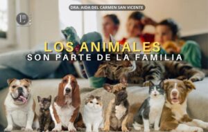 LOS-ANIMALES-SON-PARTE-DE-LA-FAMILIA-768x489
