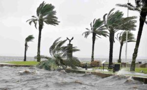 WhatsApp Image 2023-06-17 at 4-compressed