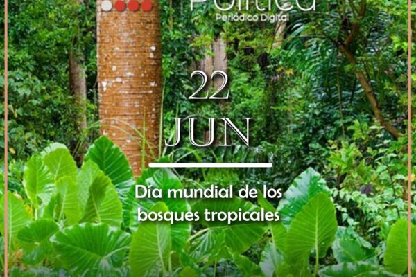 bosques tropicales