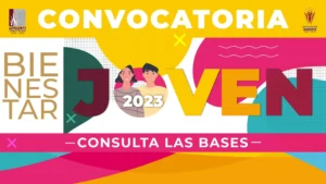 descarga (11)