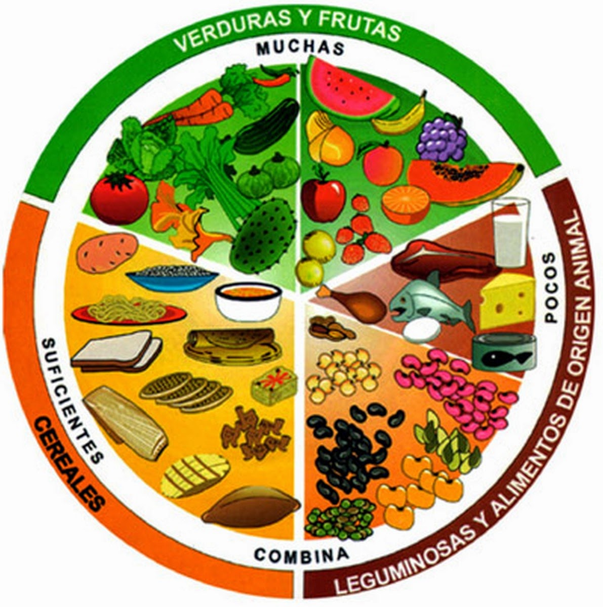 dieta balanceada saludable vida