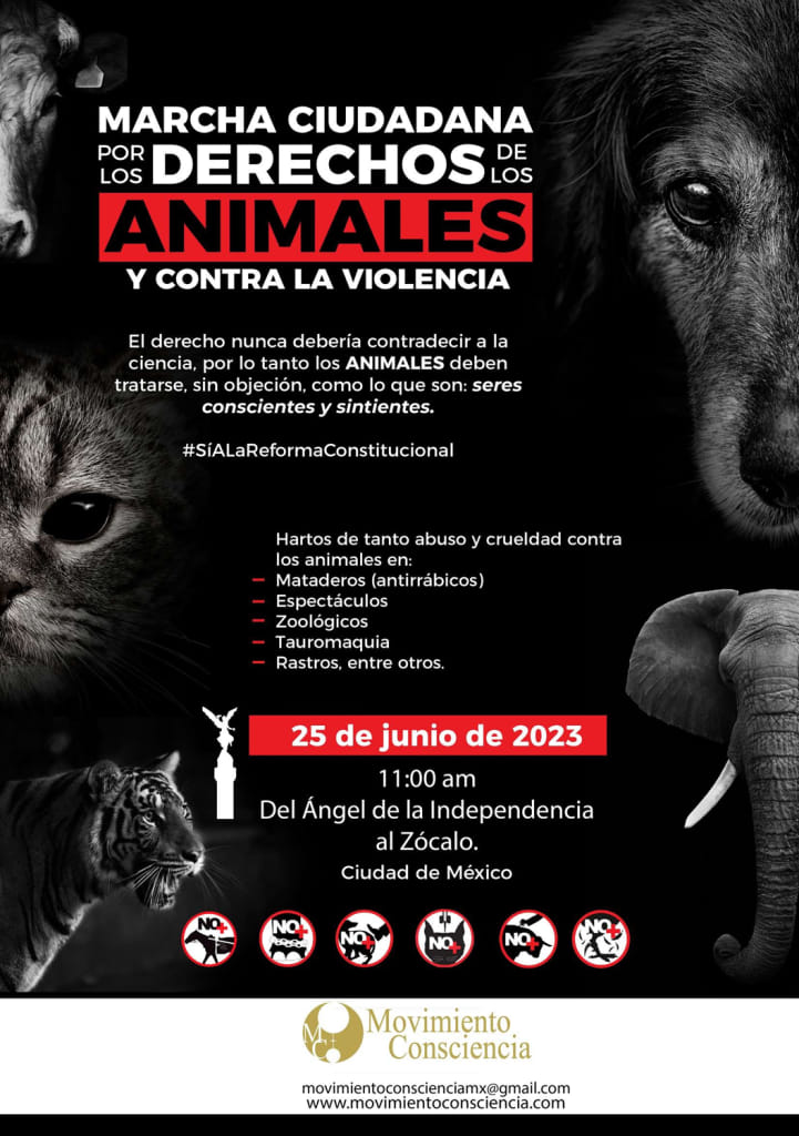 animales marcha derechos