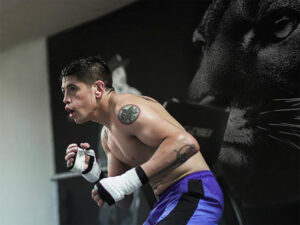 Brandon Moreno UFC