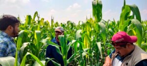 358657218_669142475253949_1675935000255357127_n