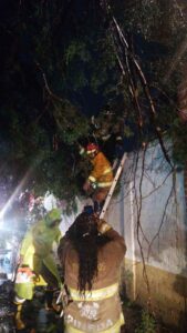 359482299_292619979984849_3901240672987063807_n-compressed(2)