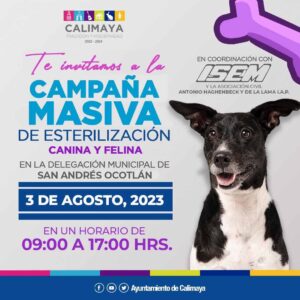 Ayuntamiento de Calimaya promueve la jornada de “Esterilización Canina y Felina”