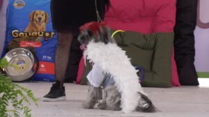 362294310_675493461285517_8991638773632583493_n