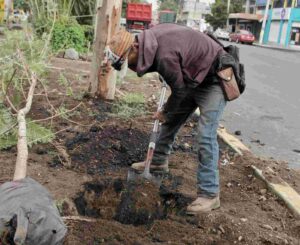 363338089_235598492763763_5213054982688195617_n-compressed