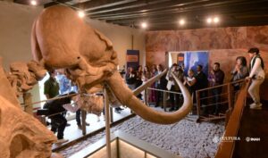 El Mamut de Ecatepec regresa a casa: Ven a conocer esta herencia cultural en la Casa de Morelos