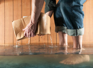 Flooded Basement