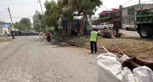 Sin título-compressed