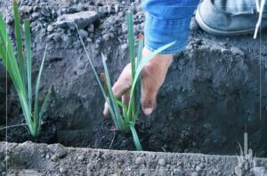 WhatsApp Image 2023-07-21 at 9.12.58 AM