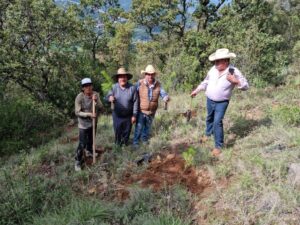 WhatsApp Image 2023-07-24 at 12.33.29 PM