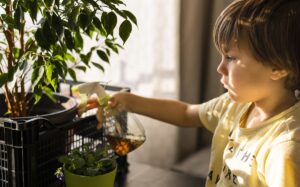 contacto-jardineria-aprenderan-naturaleza-vida_0_26_1200_746