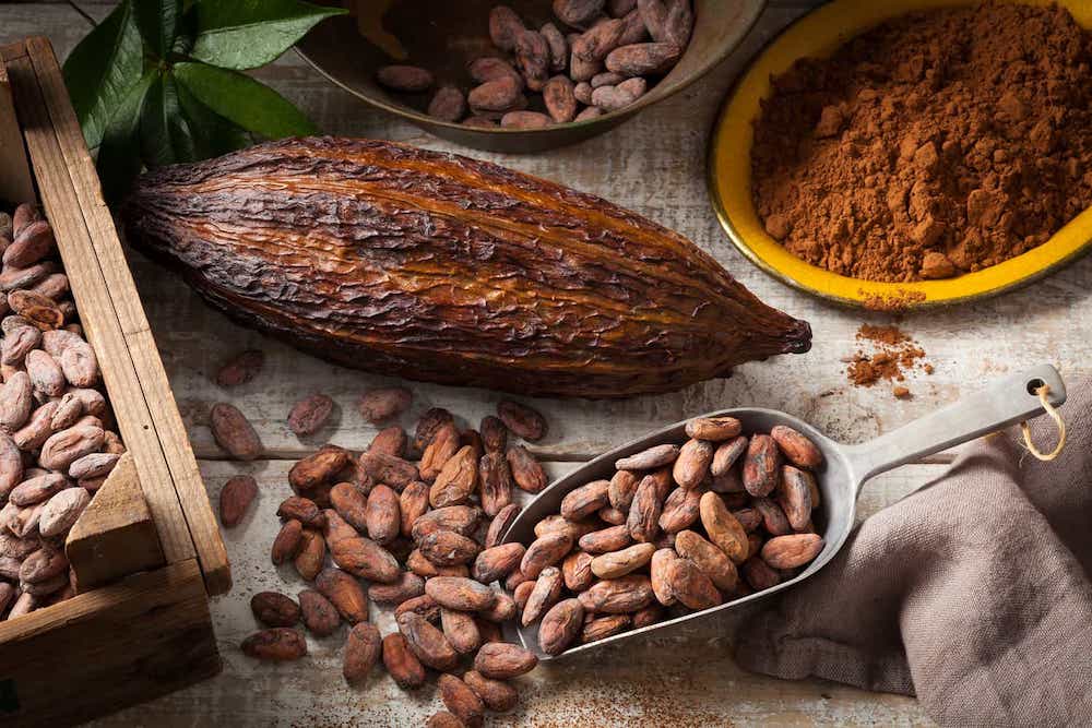 Cacao