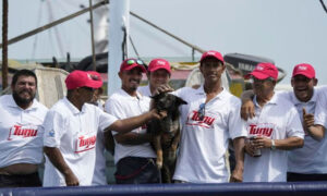 perrita