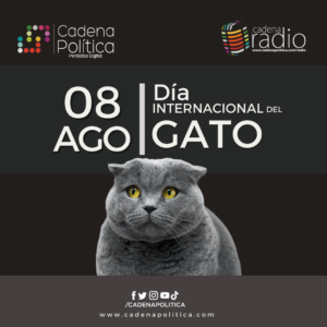 Gato