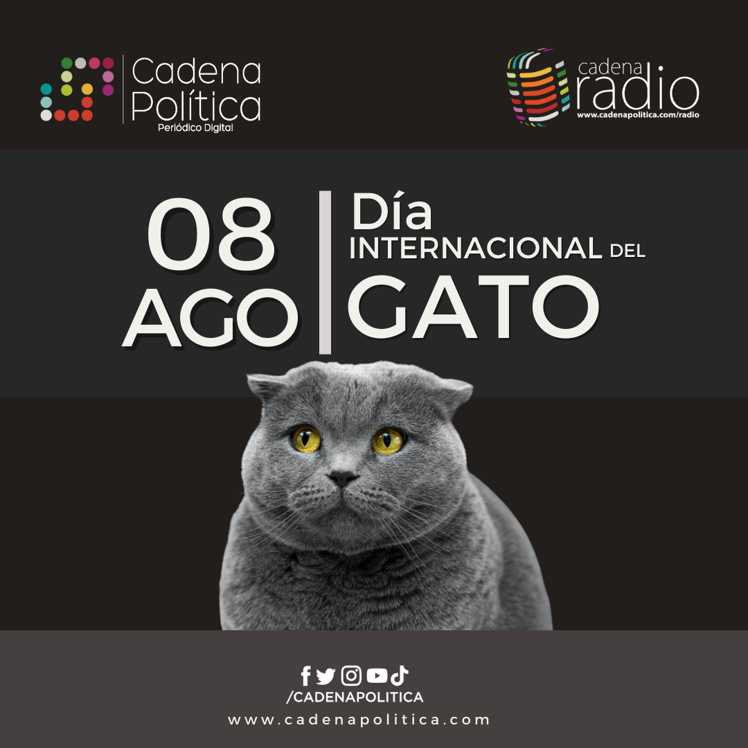 Gato