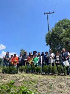 El Ayuntamiento de Huixquilucan realizó una jornada de reforestación en Lomas de la Herradura