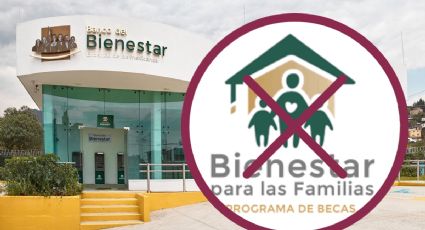 Bienestar apoyos