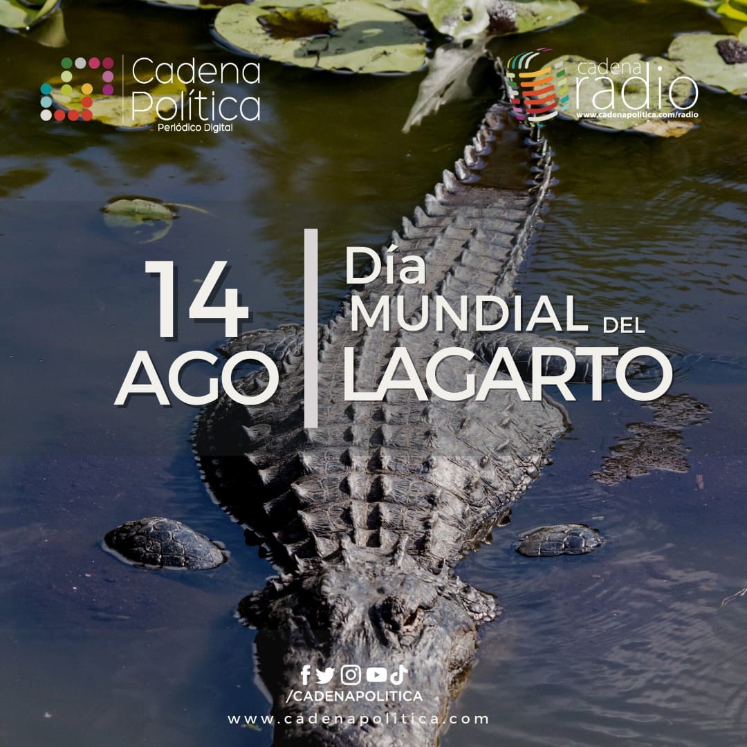 lagarto