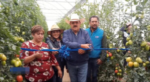 El presidente municipal de Calimaya, Oscar Hernández Meza reinauguró un invernadero en la comunidad de Santa María Nativitas