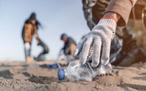 Científicos descubren hongos que comen plástico como si fuese madera