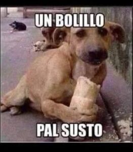 bolillo