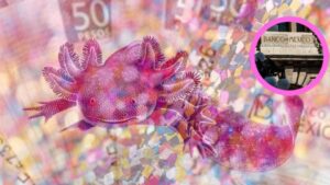 f960x540-56044_130119_0