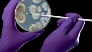 ¿Qué es la enfermedad ‘X’? Advierten posible pandemia