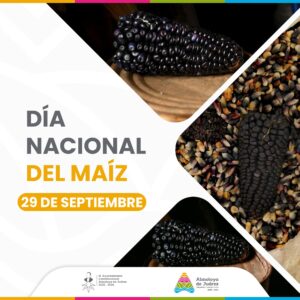 Día Nacional del Maíz