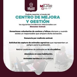 387841291_723350549833141_1452567271743058525_n