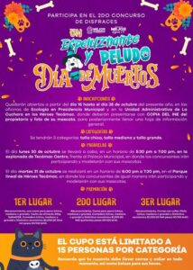 392931553_726113349556861_6619841284060963364_n