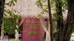 BeFunky-collage-21-scaled-e1697910316378-1024x576