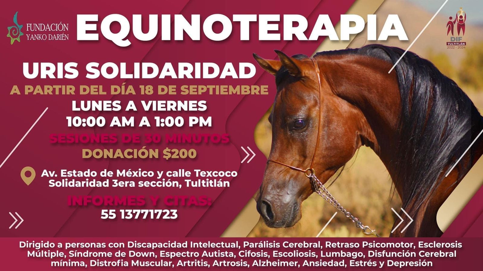 Equinoterapia