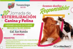 jornada de esterilización canina y felina