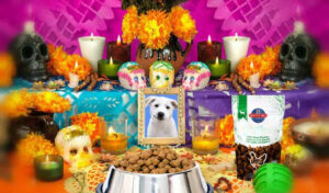 octubre-mascotas-regresan-alla-visitar