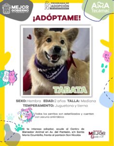 401397243_743816547786541_2534450305553541341_n