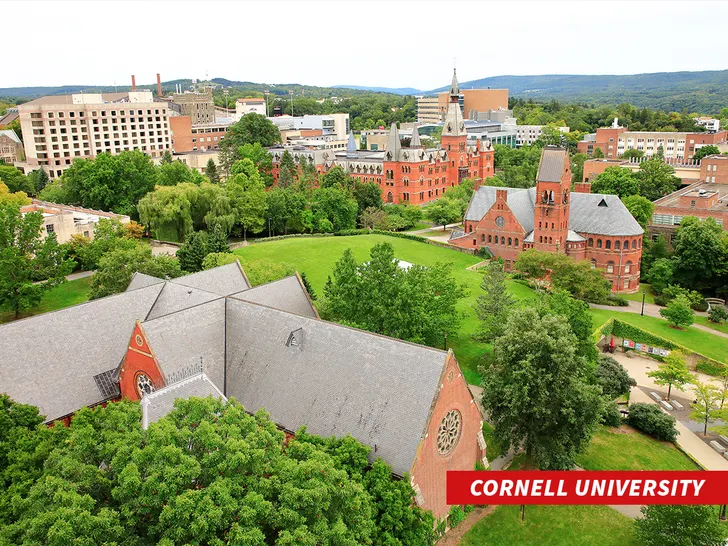 Universidad de Cornell