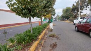 409820414_872918384874249_2252903270921833760_n