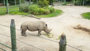 zoológico