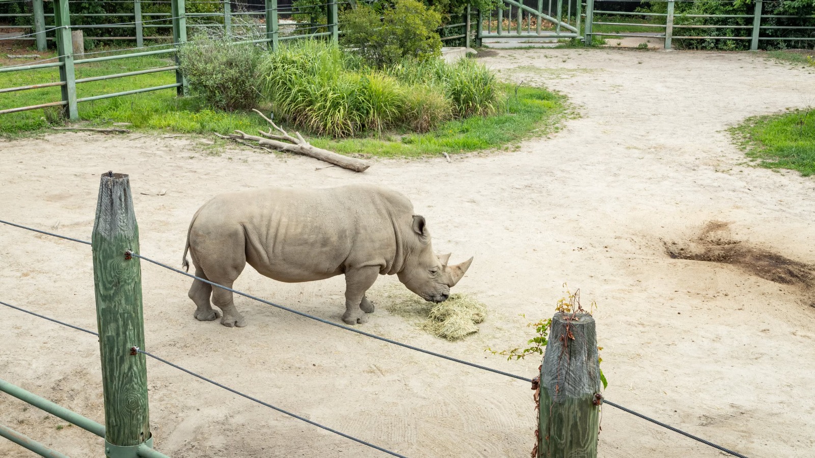 zoológico