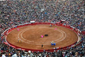 toros
