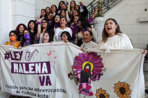 La ley Malena la lucha contra la violencia de género