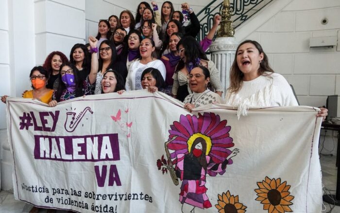 La ley Malena la lucha contra la violencia de género