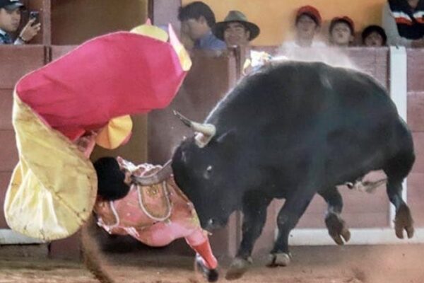 (Video) Torero Alberto Ortega sufre cornada en Tlaxcala