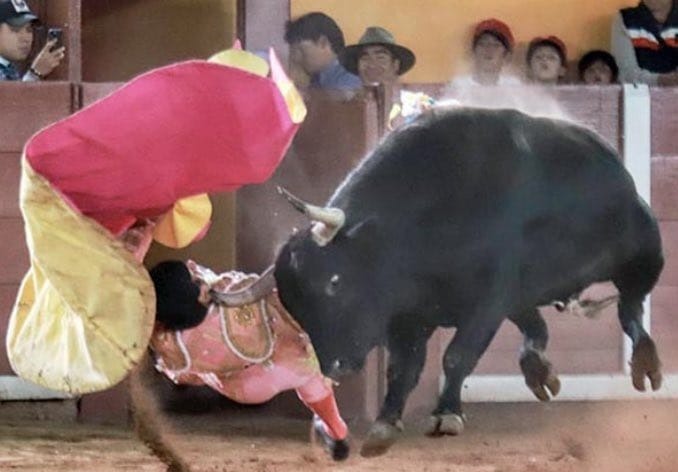 (Video) Torero Alberto Ortega sufre cornada en Tlaxcala