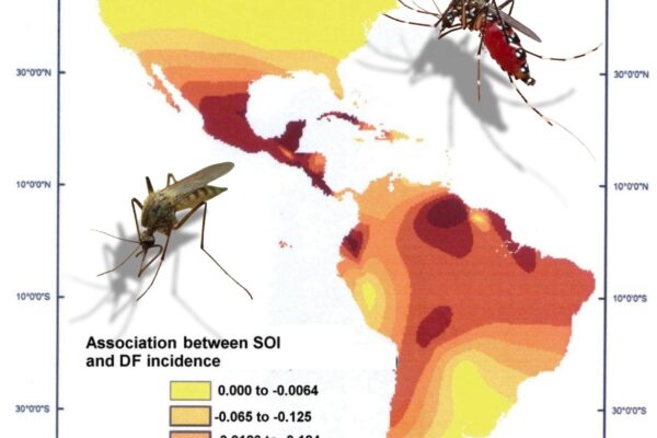 Dengue en América: síntomas y detección temprana