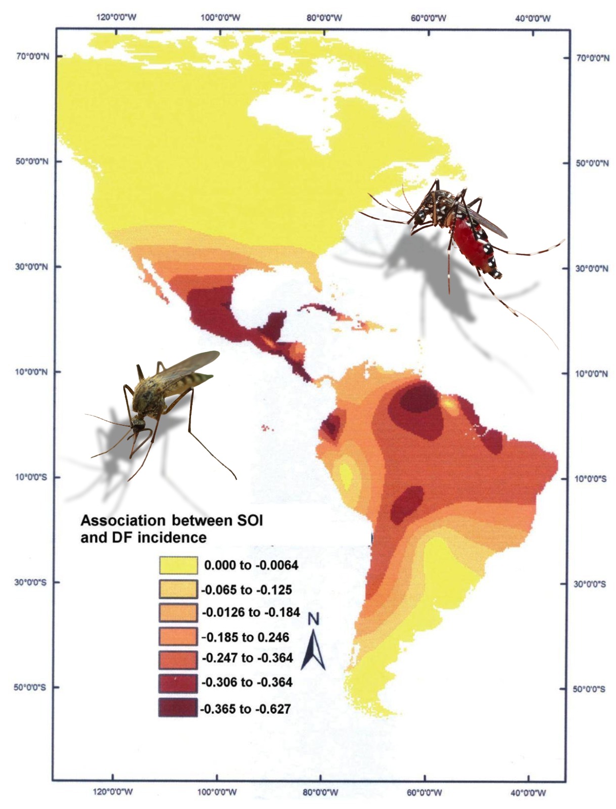 Dengue en América: síntomas y detección temprana